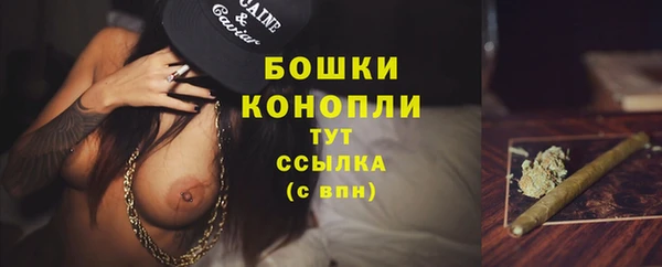 гашик Белокуриха