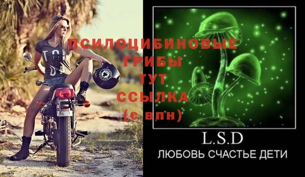 гашик Белокуриха