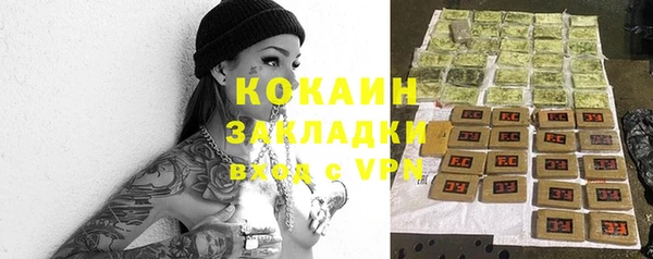 гашик Белокуриха