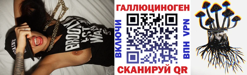 Псилоцибиновые грибы Psilocybe  цены наркотик  Буйнакск 